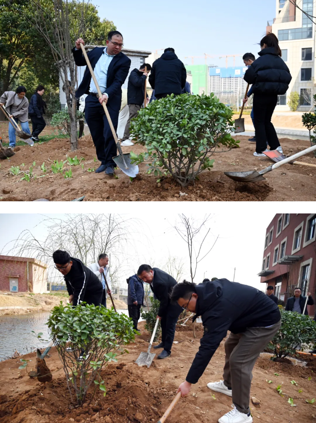 1719191922519671.png image.png